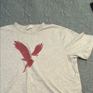 American Eagle Outfitters Light Gray T-Shirt